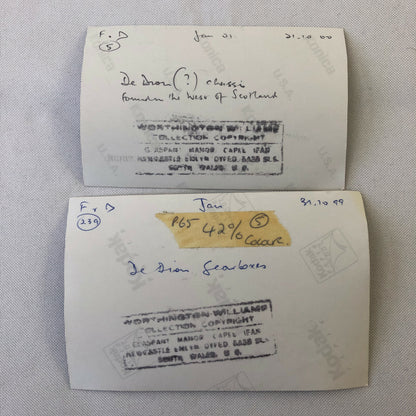 Vintage De Dion Bouton Barn Find Junk Yard Car Part Photo Photograph Lot of 11