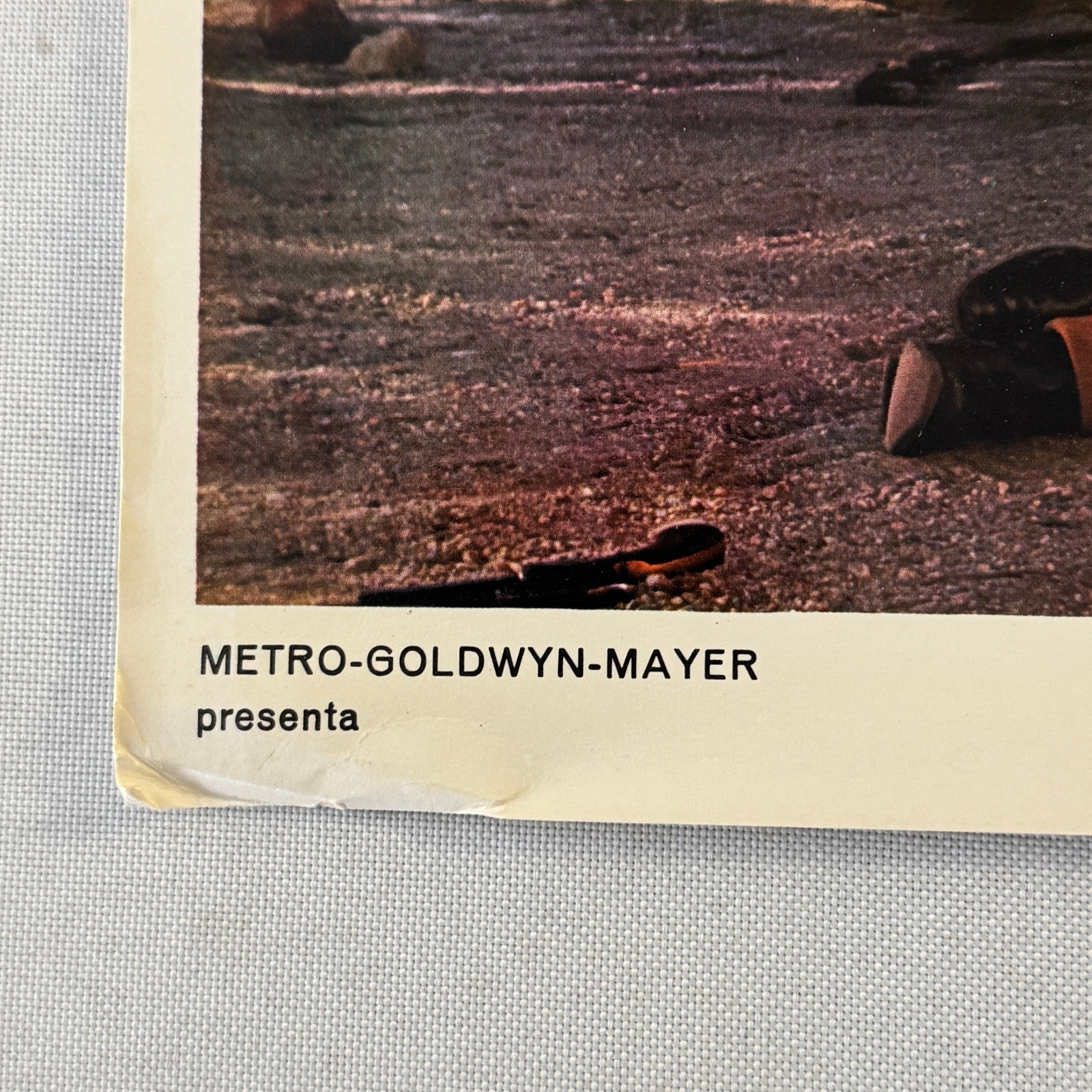 Vintage Movie Lobby Card Catlow El Oro de Nadie Spanish Film MGM