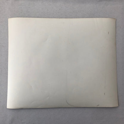 Vintage Volkswagen VW Beetle Bug Car Photo Photograph