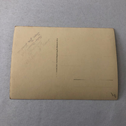 Circus Bird Training Act Postcard Post Card Gregory's Tauben Revue German