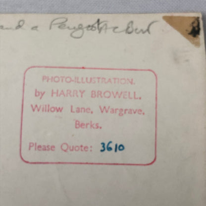 Vintage Antique Car Rally Photo Photograph Print Renault Napier Peugeot + 