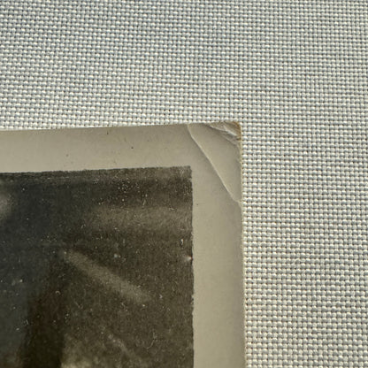 1932 British Dog Show Keystone Press Photo Photograph Crufts Dog Show