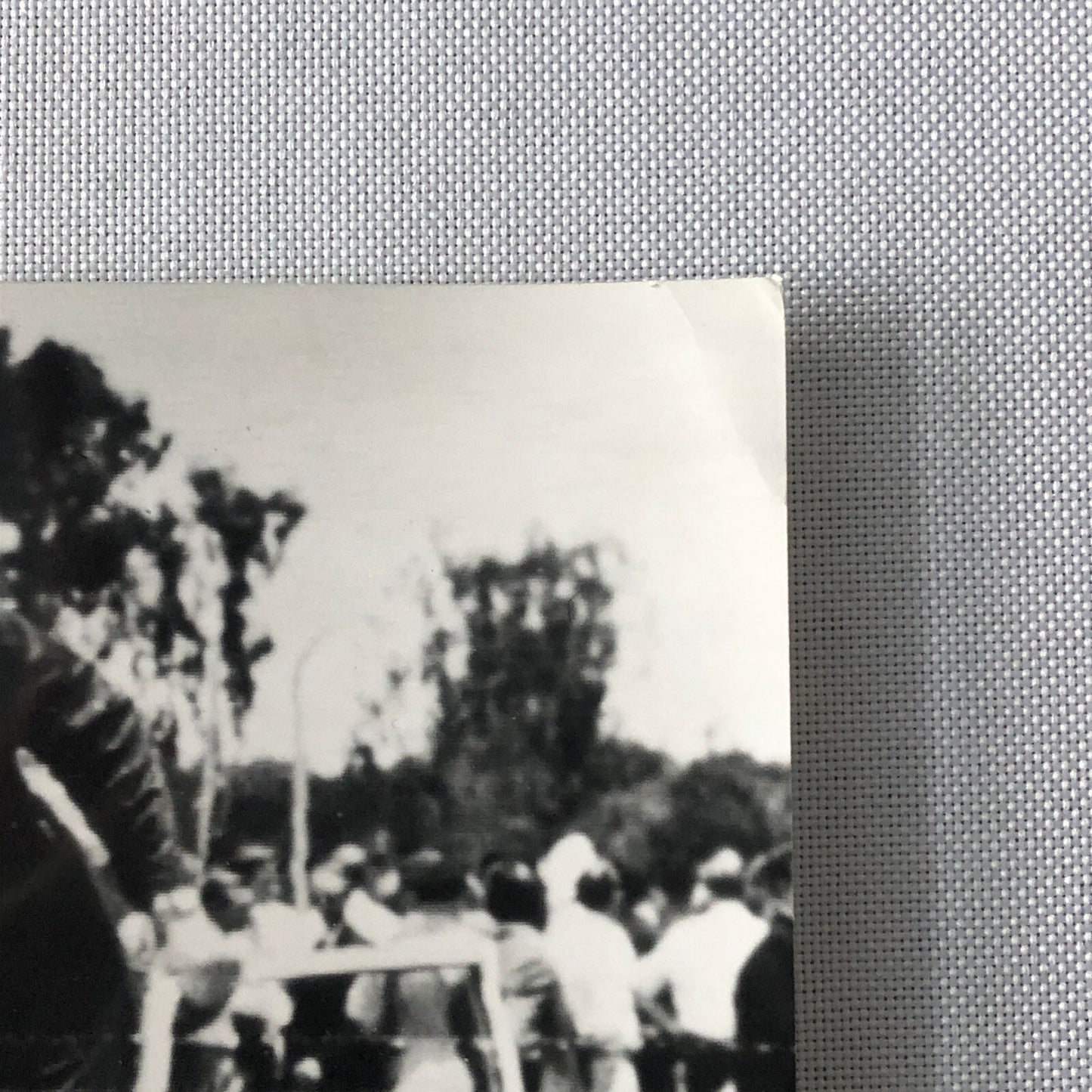 1963 Peugeot 404 Rallye Safari Rally Racing Press Photo Photograph Nick Nowicki