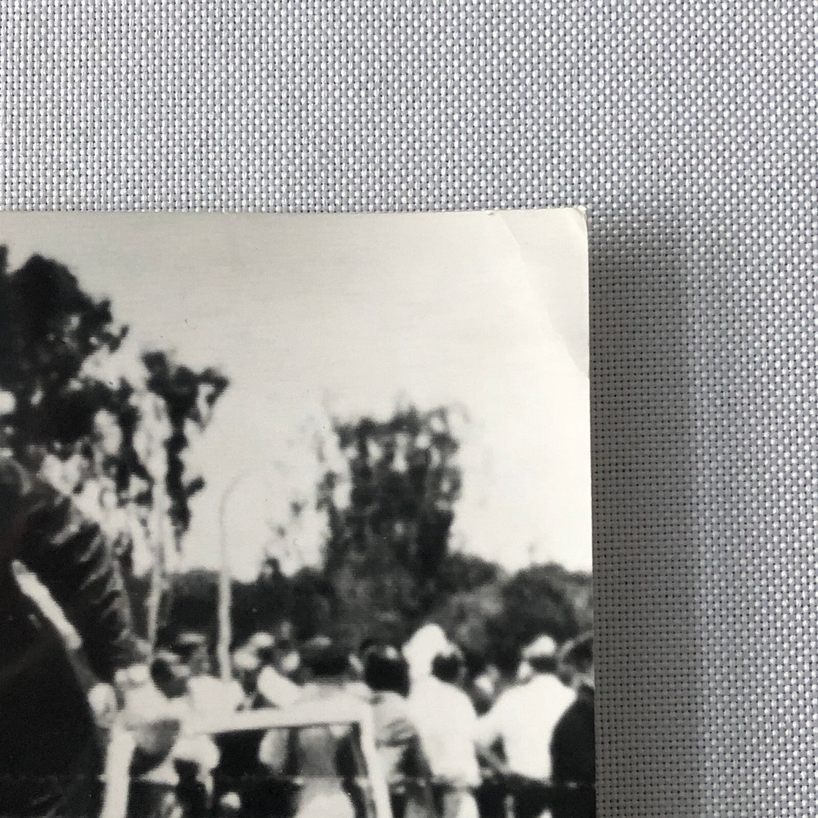 1963 Peugeot 404 Rallye Safari Rally Racing Press Photo Photograph Nick Nowicki