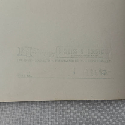 Vintage Volkswagen VW Beetle Wrought Iron Sculpture Concept Car Art Photograph