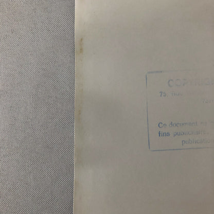 Vintage 1975 Formula 2 F2 Racing Photo Photograph Salzburg Bernard De Dryver 