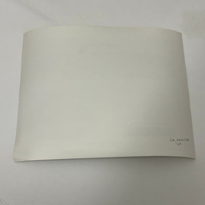 Vintage 1964 Pontiac Catalina Car Automobile Photo Photograph Print