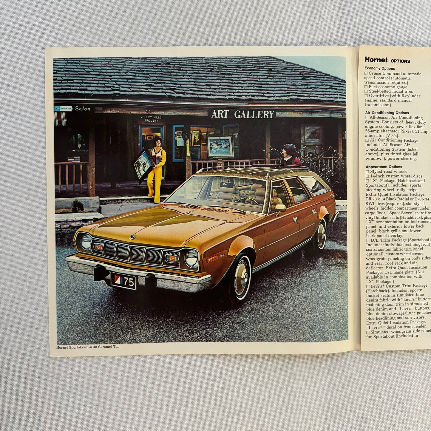 1975 AMC Hornet Car Sales Brochure Catalog American Motors Hornet Advertising