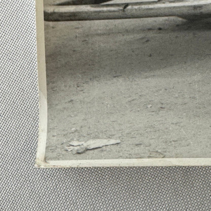 Vintage Motorcycle Bike Sidecar Photo Photograph Men with Goat Germany