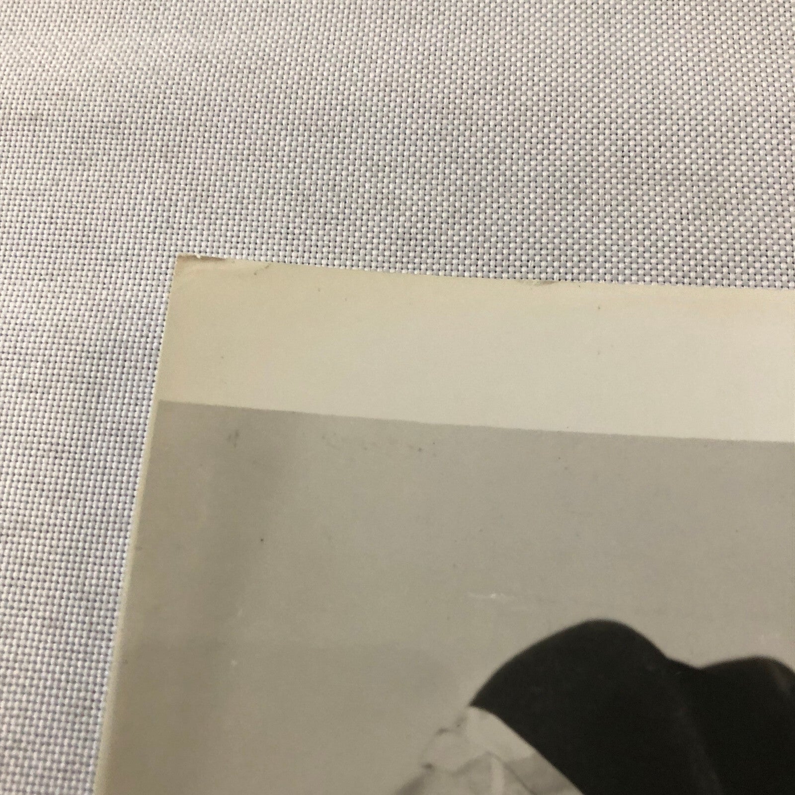 Movie Film Press Photo Photograph 42nd Street Beautiful Actress Warner Brothers