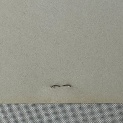 Vintage Movie Still Photo Photograph Cleopatra Claudette Colbert Warren William