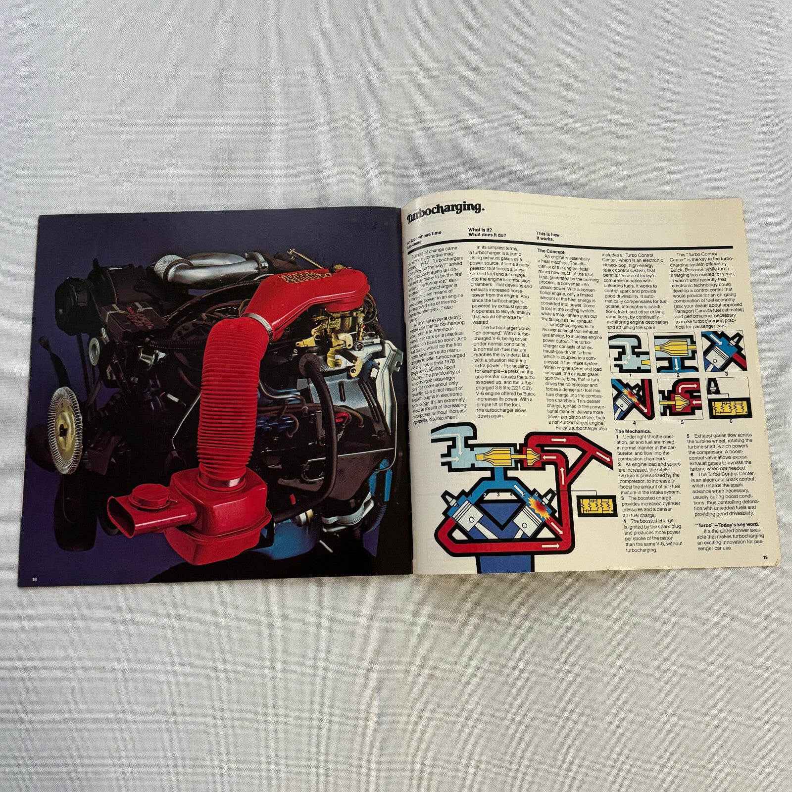 1979 Buick Regal and Century Car Sales Brochure Catalog Advertising Coupe Wagon