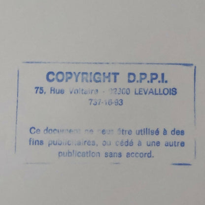 Vintage 1976 Formula 2 F2 Thruxton Grand Prix Racing Photo Photograph ELF +  