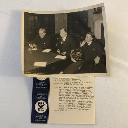 Press Photo Photograph Silver Bloc Senators Senate 1933 Underwood & Underwood