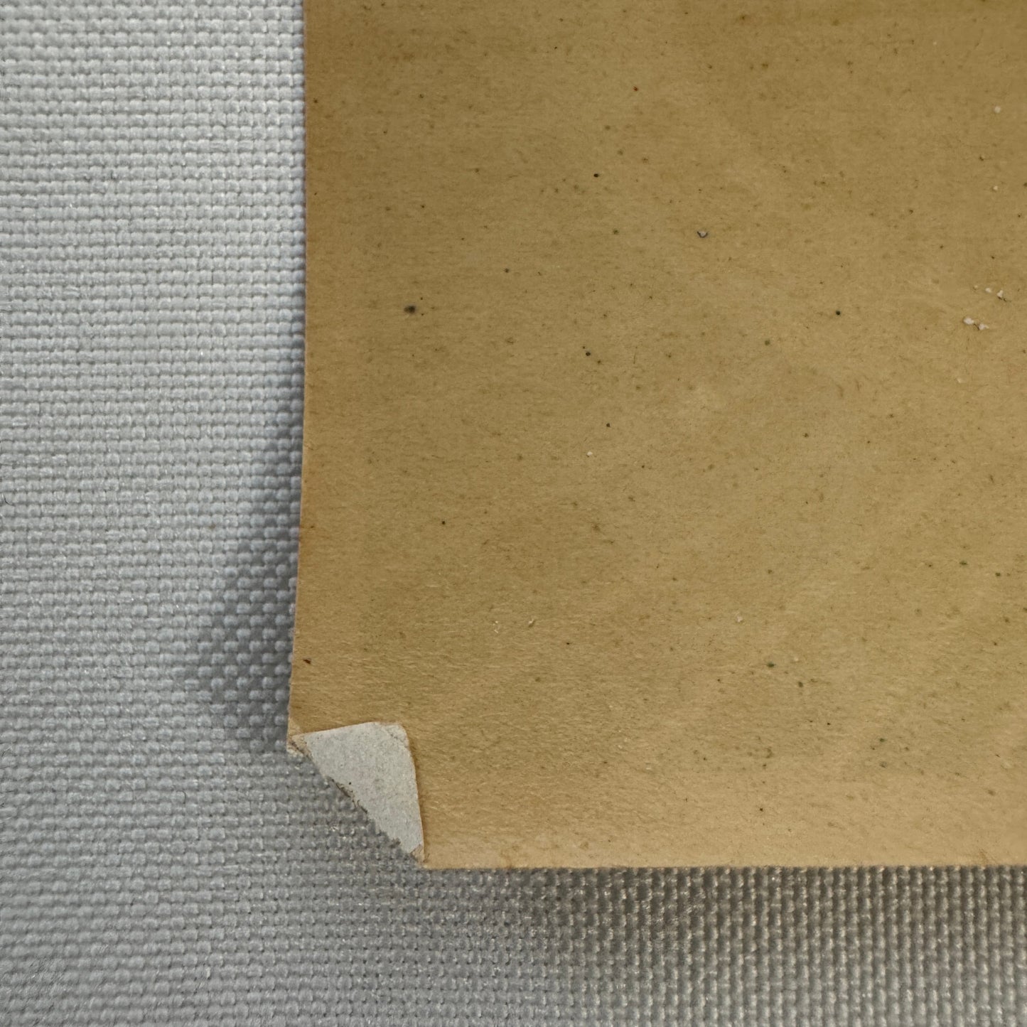 Vintage Travel Luggage Label Poland Spring House Maine Hiram Ricker Hotel