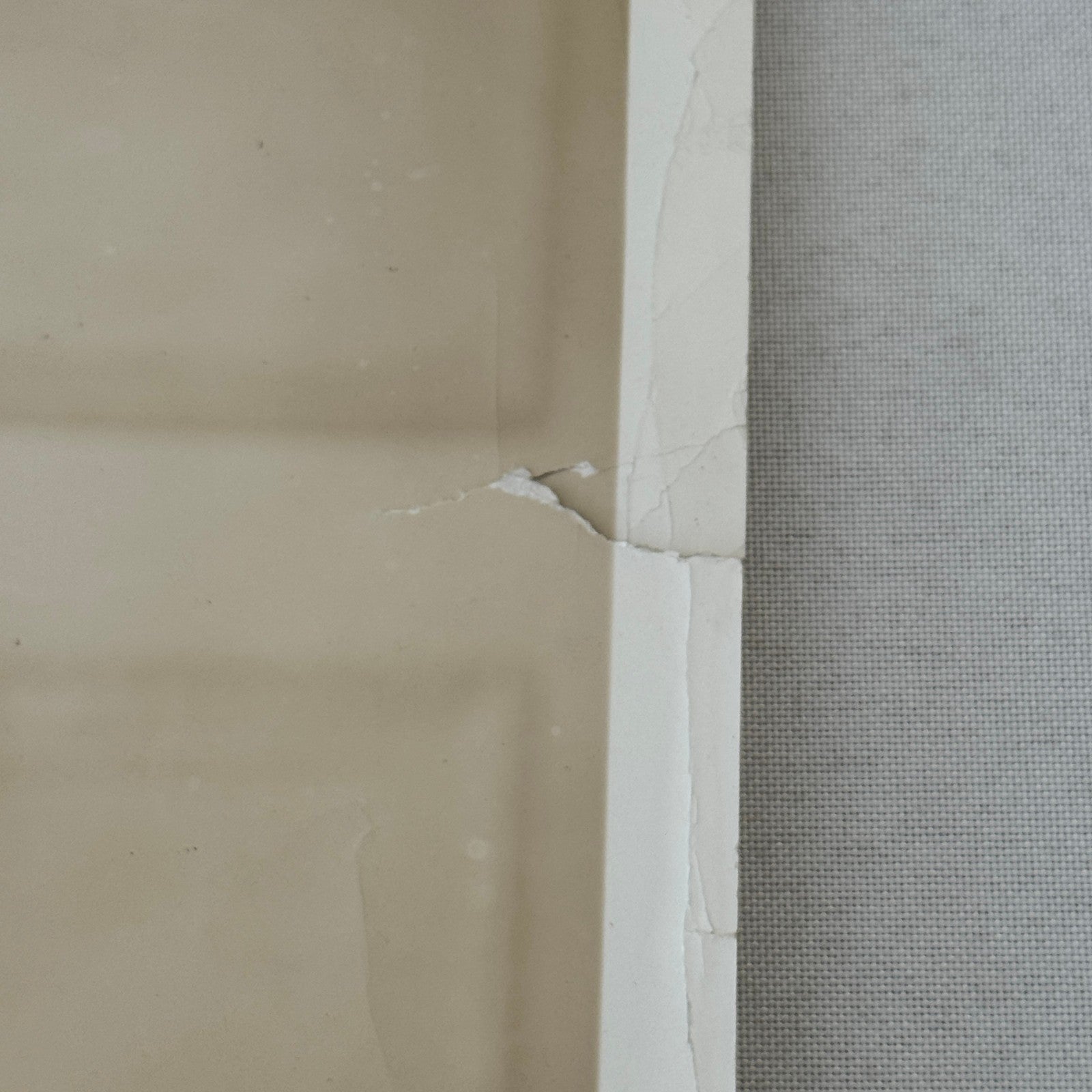 1933 Society Woman Press Photo Photograph Mexican Embassy Washington DC