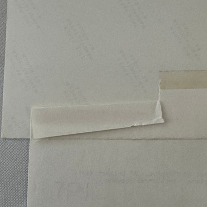 Porsche 911 Racing Photo Photograph 1975 Camel GT Al Holbert Peter Gregg 1975