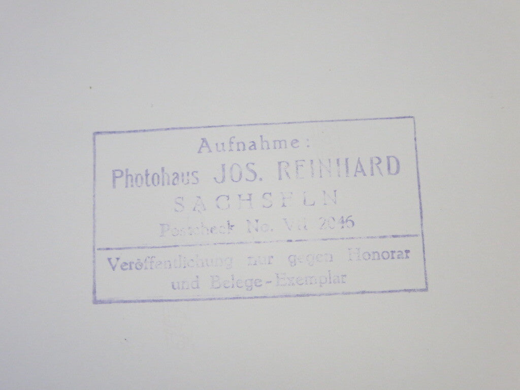 Vintage 1973 South African Grand Prix Racing Photograph Photo - Ronnie Peterson 