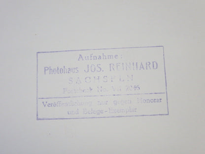 Vintage 1973 South African Grand Prix Racing Photograph Photo - Ronnie Peterson 