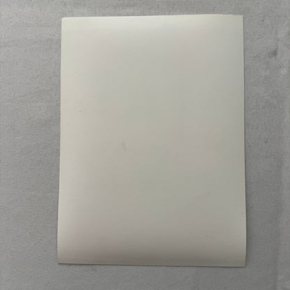 Al Unser Porsche Quaker State Indy Racing Driver Factory Press Photo Photograph