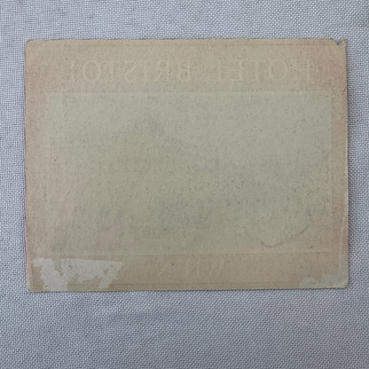 Vintage Hotel Travel Luggage Label Hotel Bristol Wien Vienna Austria