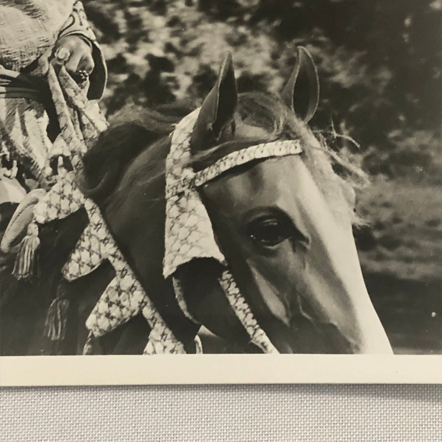 King Richard and the Crusaders Movie Still Photo Photograph George Sanders +