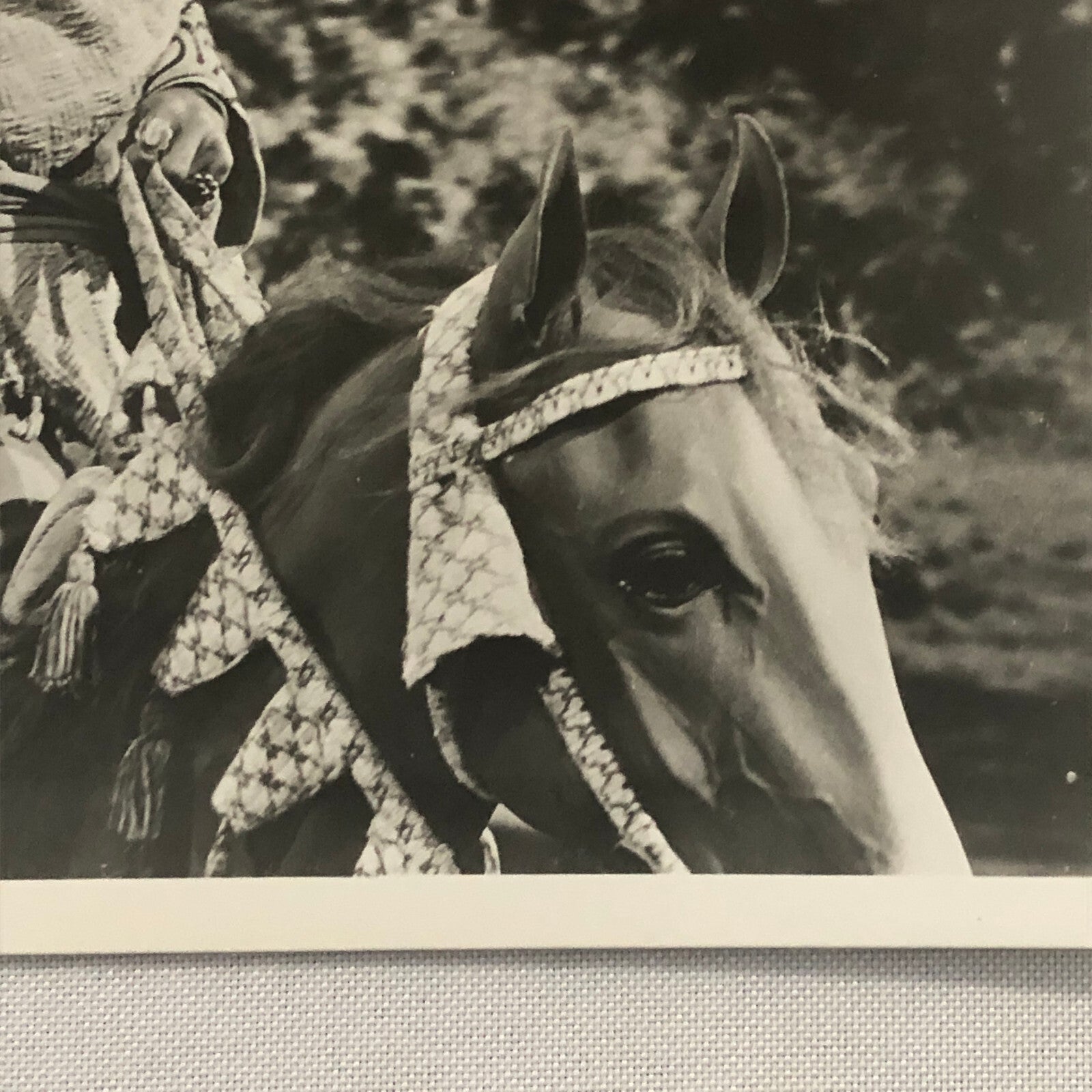 King Richard and the Crusaders Movie Still Photo Photograph George Sanders +
