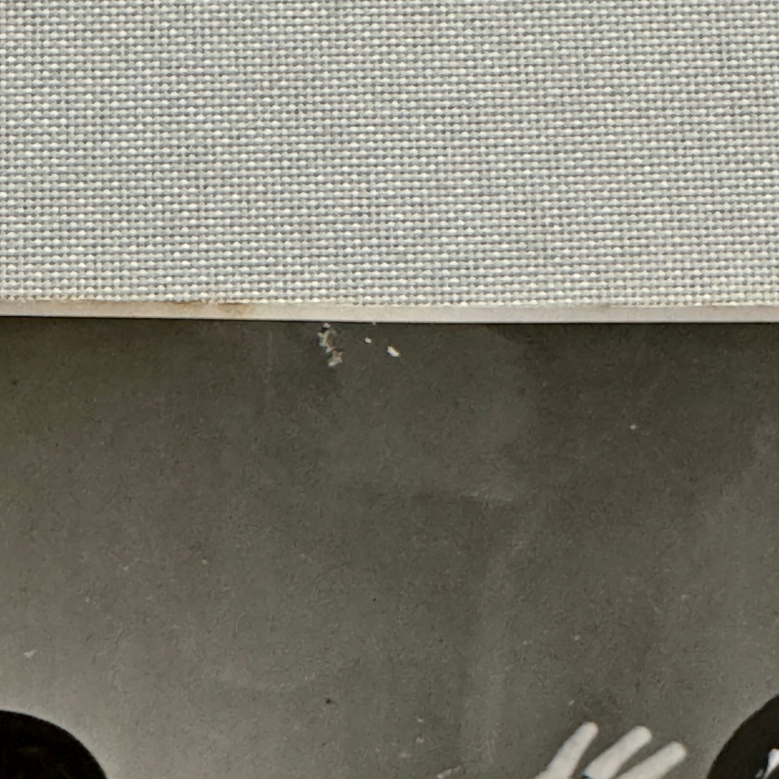 Vintage Circus Photo Rowlers Roller Skating Act Performer France Photograph