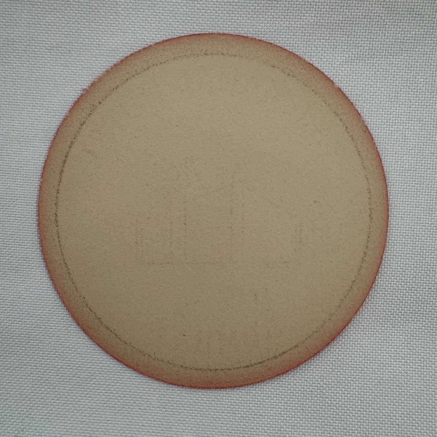 Vintage Taj Mahal Hotel Bombay India Indian Travel Luggage Label