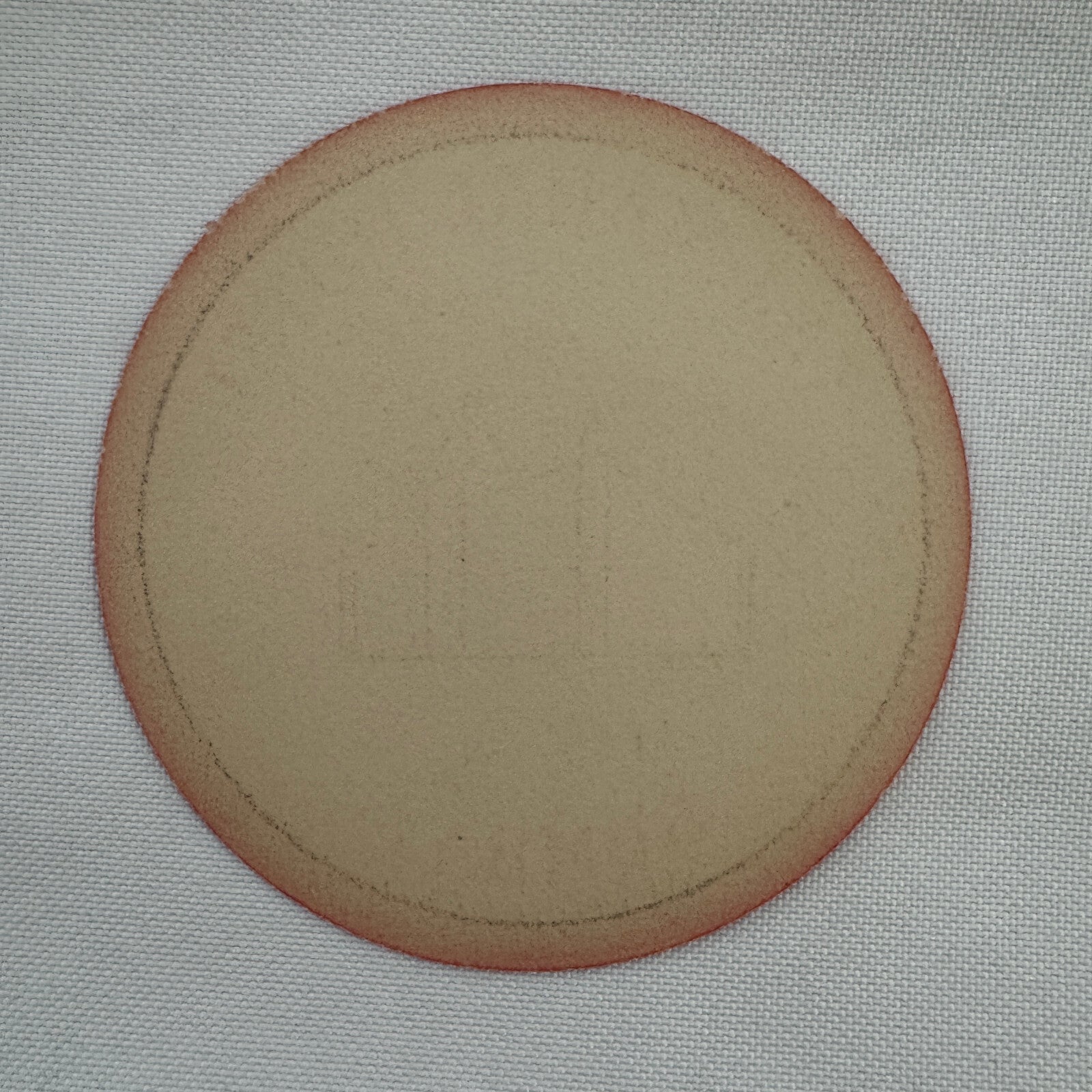 Vintage Taj Mahal Hotel Bombay India Indian Travel Luggage Label