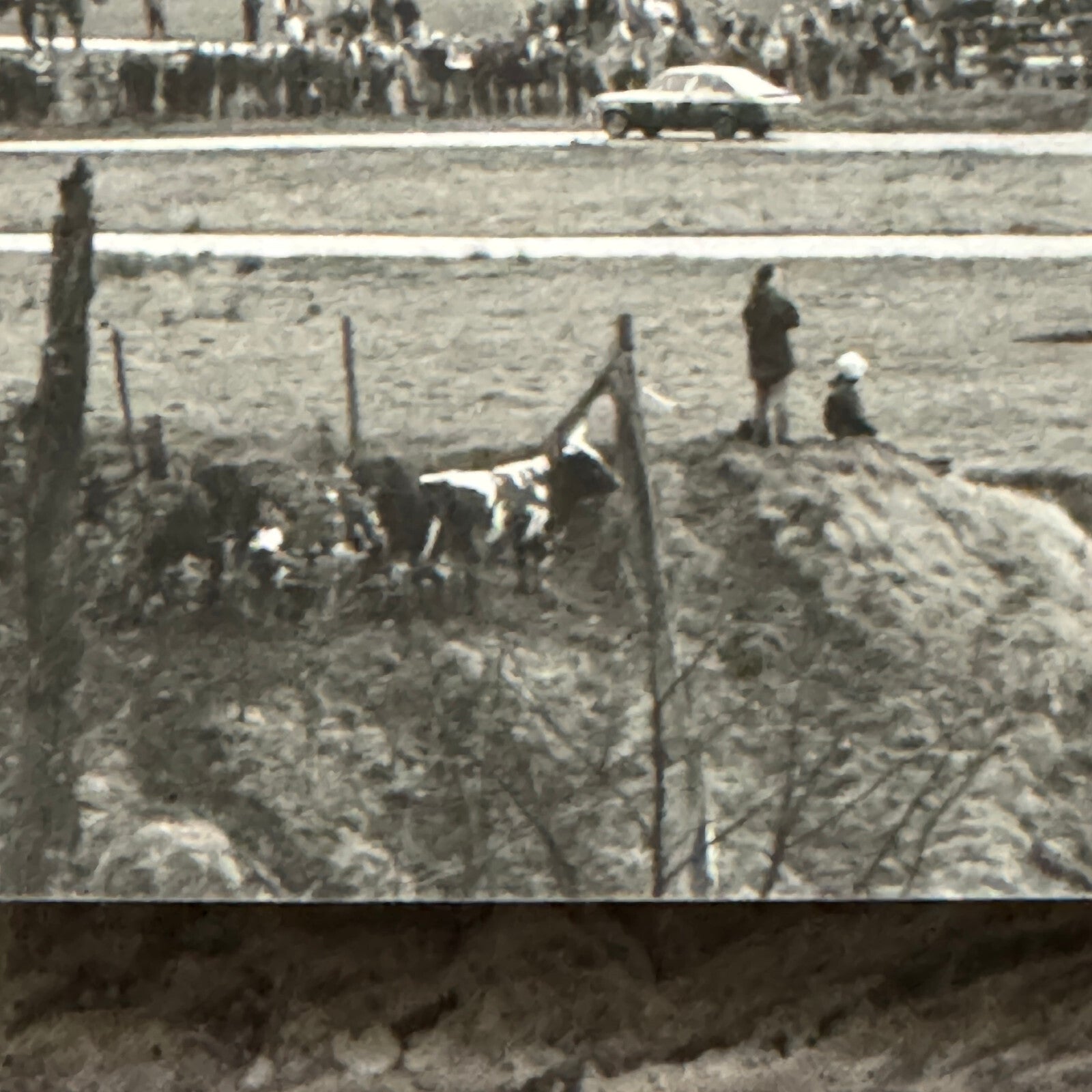 1980 RAC Rally Rallye Car Racing Photo Photograph Vintage Car