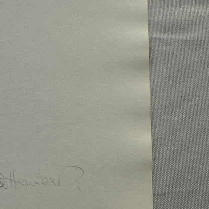 Vintage Mercedes Benz 300SL Gullwing Racing Photo Photograph Pomona 1960