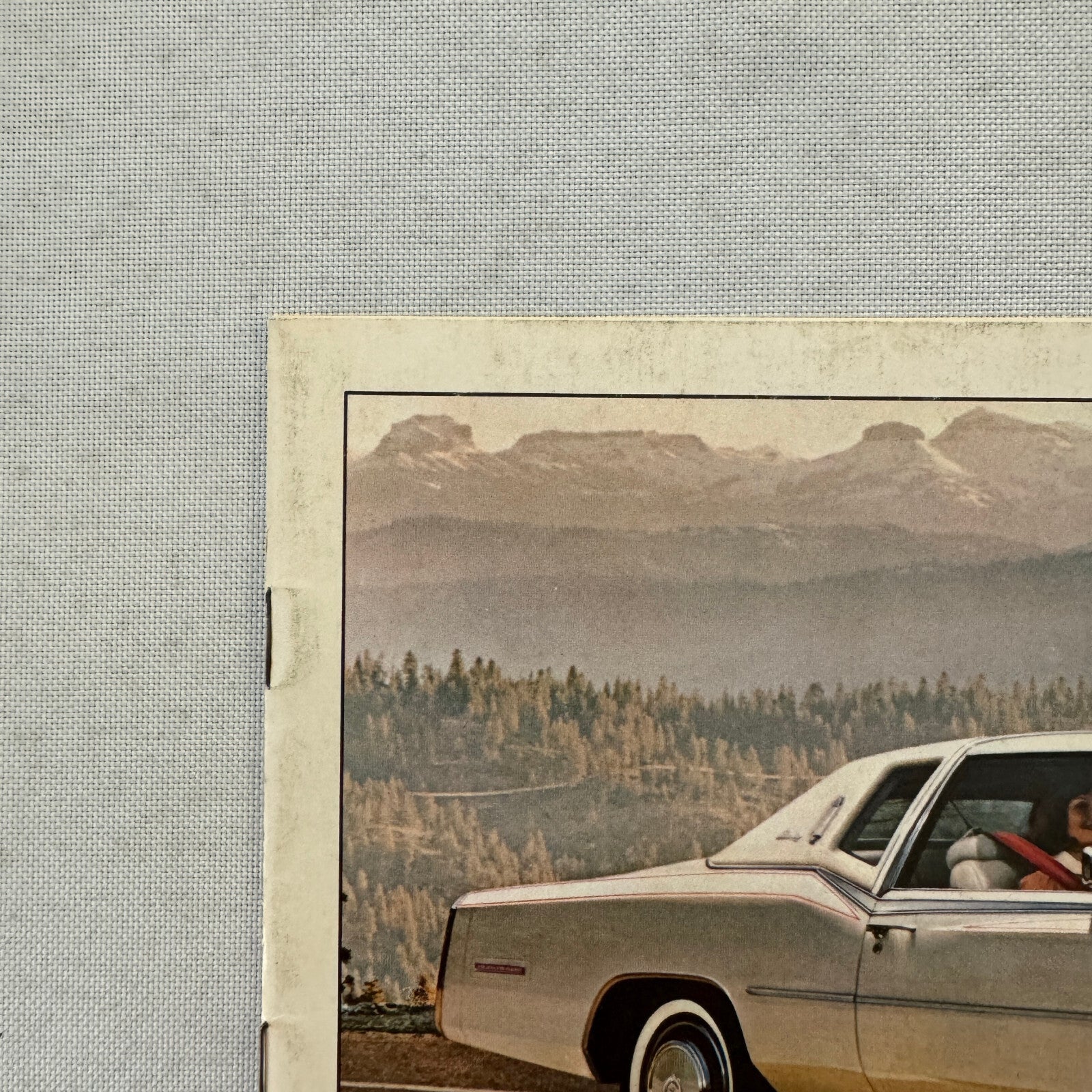 1977 Cadillac Eldorado Car Sales Brochure Catalog Eldorado Custom Biarritz