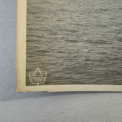 Royal Canadian Navy Huron Destroyer Military Ship Press Photo Photograph 1951
