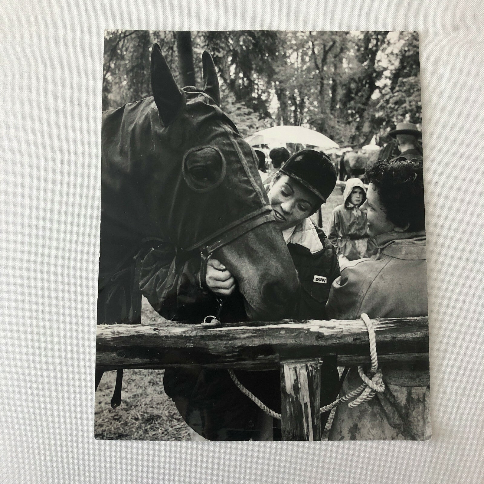 Vintage Pat Carlsson Moss Rally Racing Driver Photo Photograph with Horse 