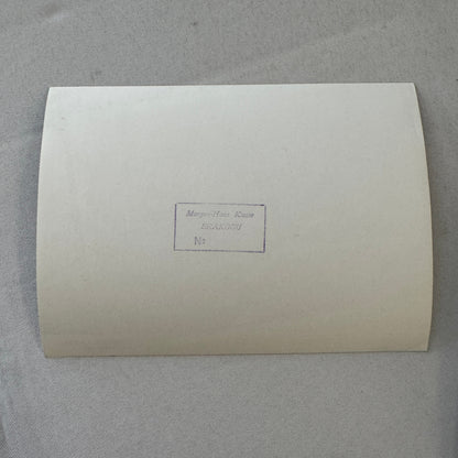 Porsche  Gulf 908-3 Factory Press Photo Photograph Print