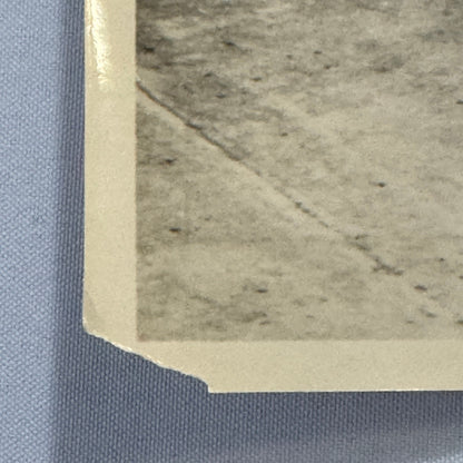 Vintage Arnolt Bristol Racing Car Photo Photograph Print Motorsport