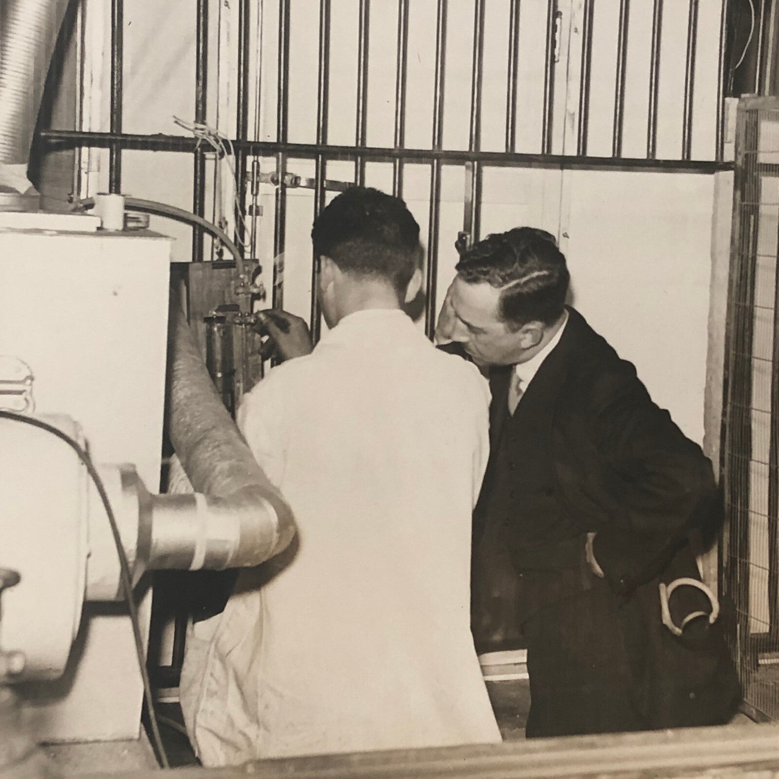 Press Photo Photograph Doctors Help Sick Gorilla at Washington Zoo 1932