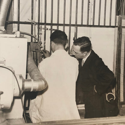 Press Photo Photograph Doctors Help Sick Gorilla at Washington Zoo 1932