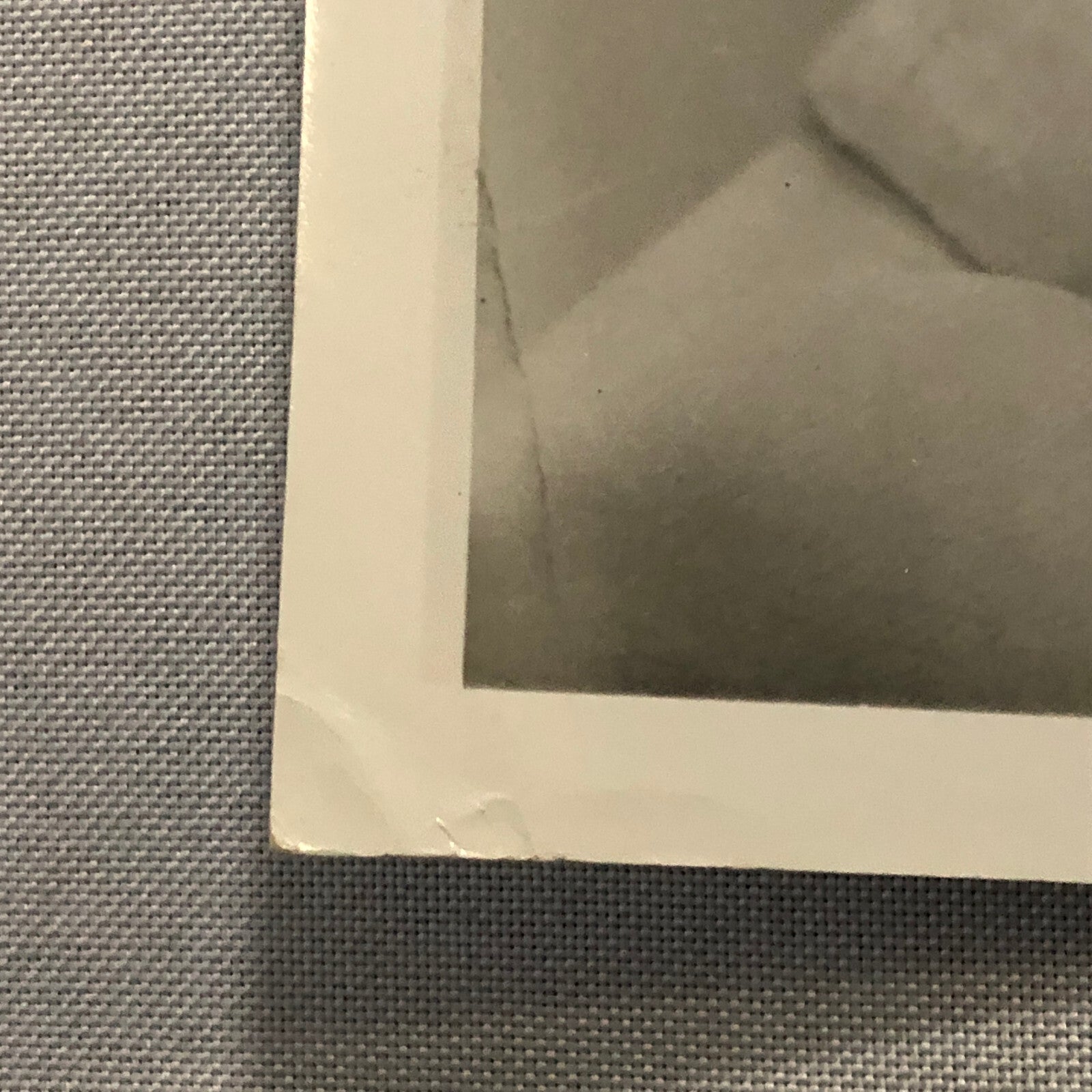 Vintage Movie Film Photo Photograph Anne of Windy Poplars Anne Shirley