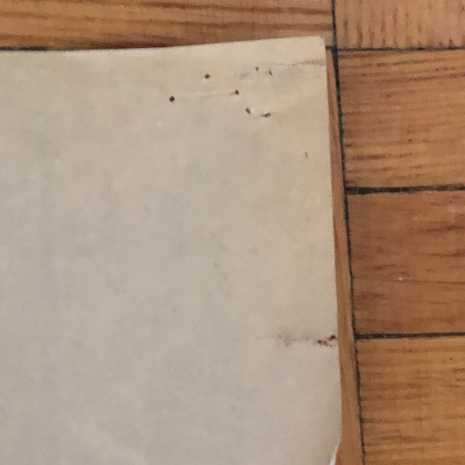 Styling Concept Automobile Illustration Art Drawing Sketch 1984 LANDUYT Ford ?