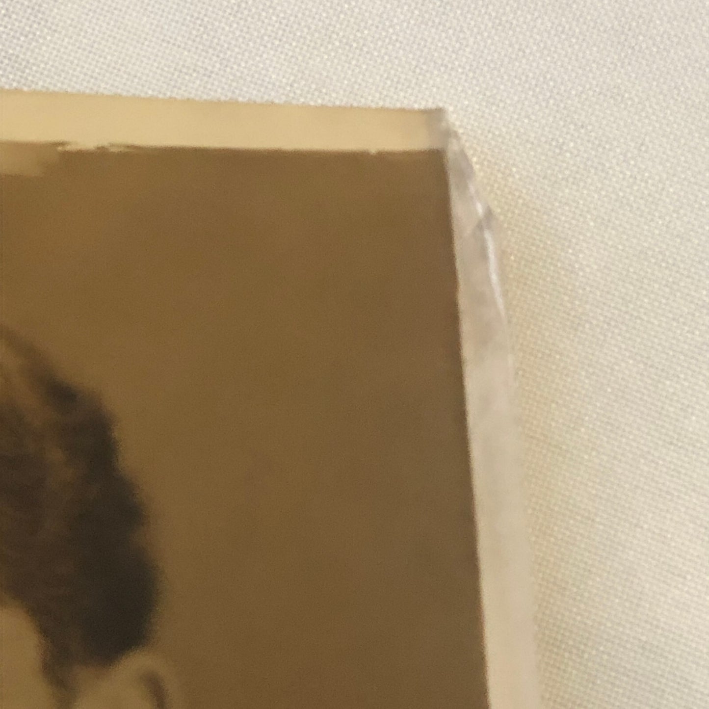 Press Photo Photograph Senator Smith Wildman Brookhart Iowa Republican 1928