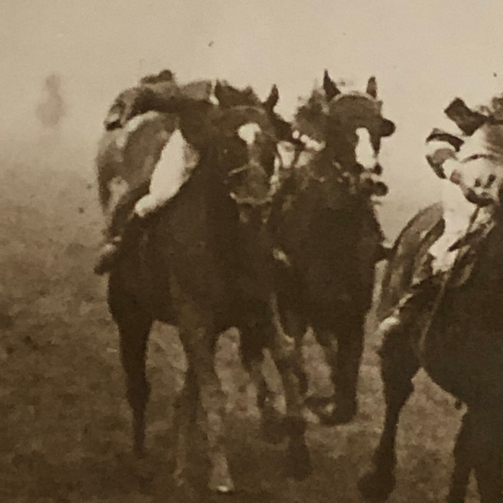 Press Photo Photograph Manchester Horse Racing Race Underwood & Underwood Photo