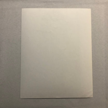 Tyra Banks Higher Learning Movie Film Press Photo Photograph 1994