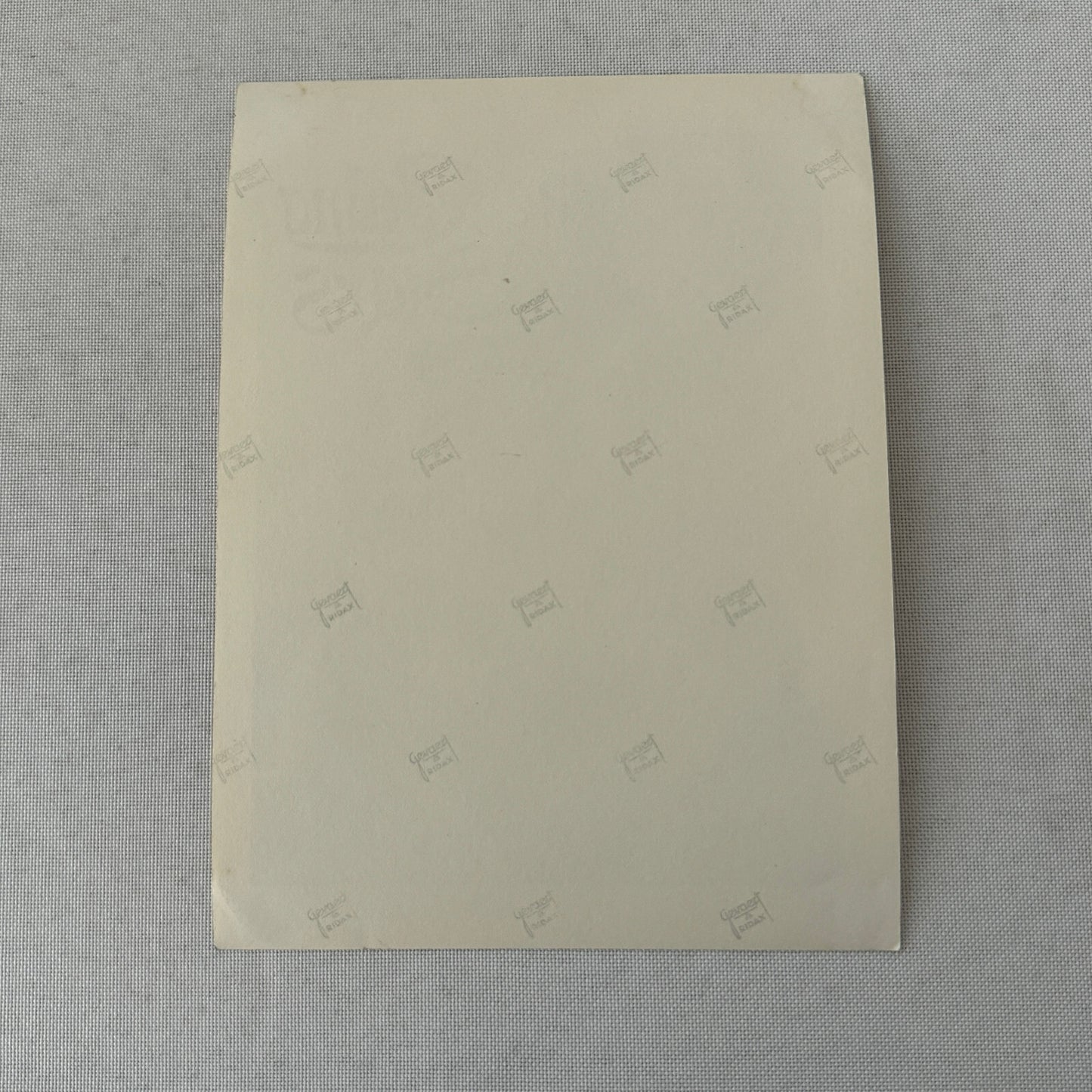 Vintage Rollerskating Roller Skate Circus Performer Photo Photograph