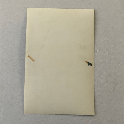 Circus Bicycle Performer Vintage Photo Photograph European Signed ?