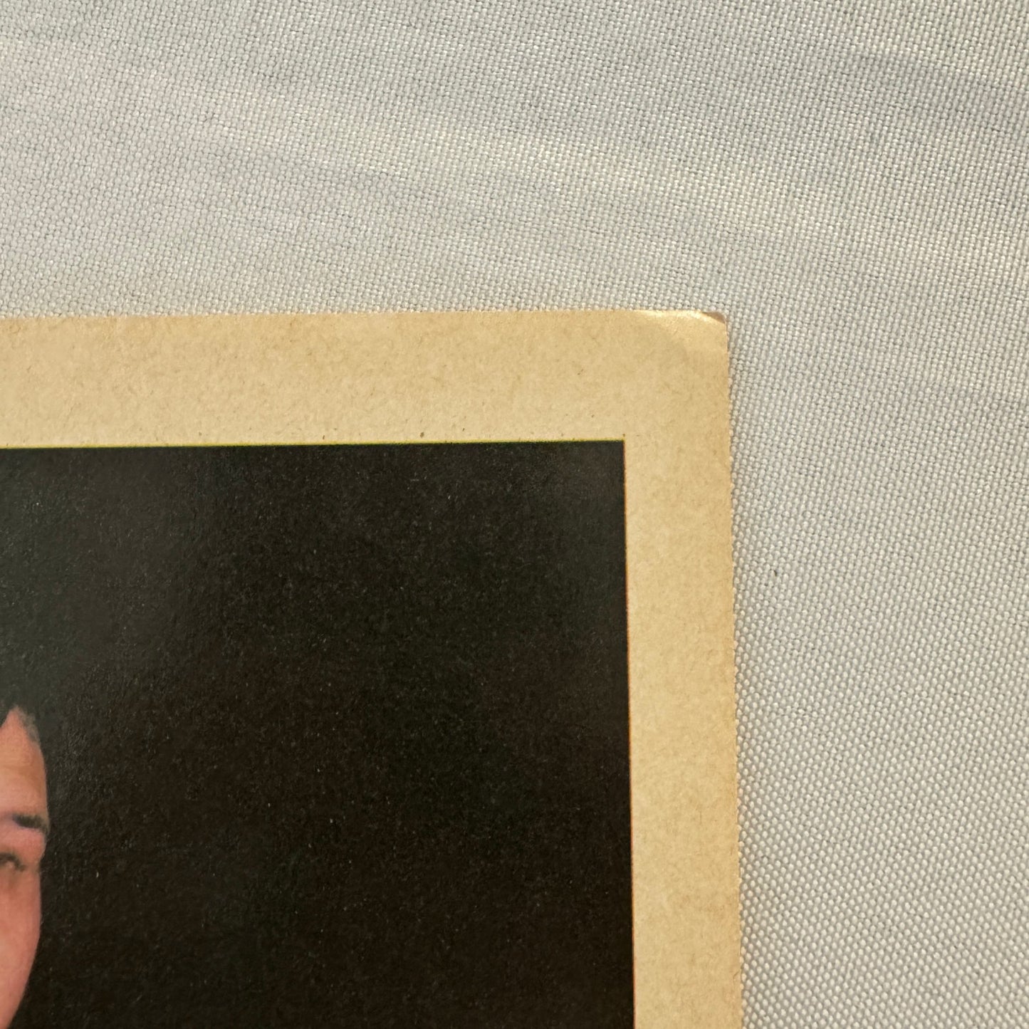 Vintage Wrestling Print Insert Pierre Mad Dog Lefebvre Quebec French 1983