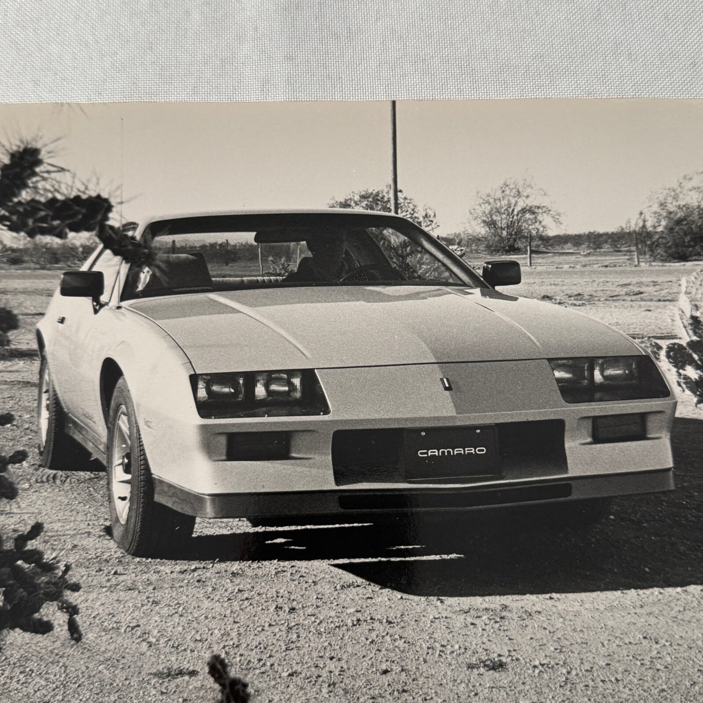 1983 Chevrolet Camaro Z28 E Factory Press Publicity Photo Photograph Print Chevy
