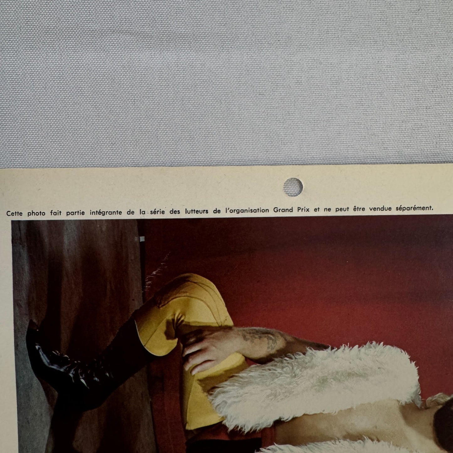 Vintage Wrestling Print Insert Nick Carte Sweet Williams Quebec French 1973