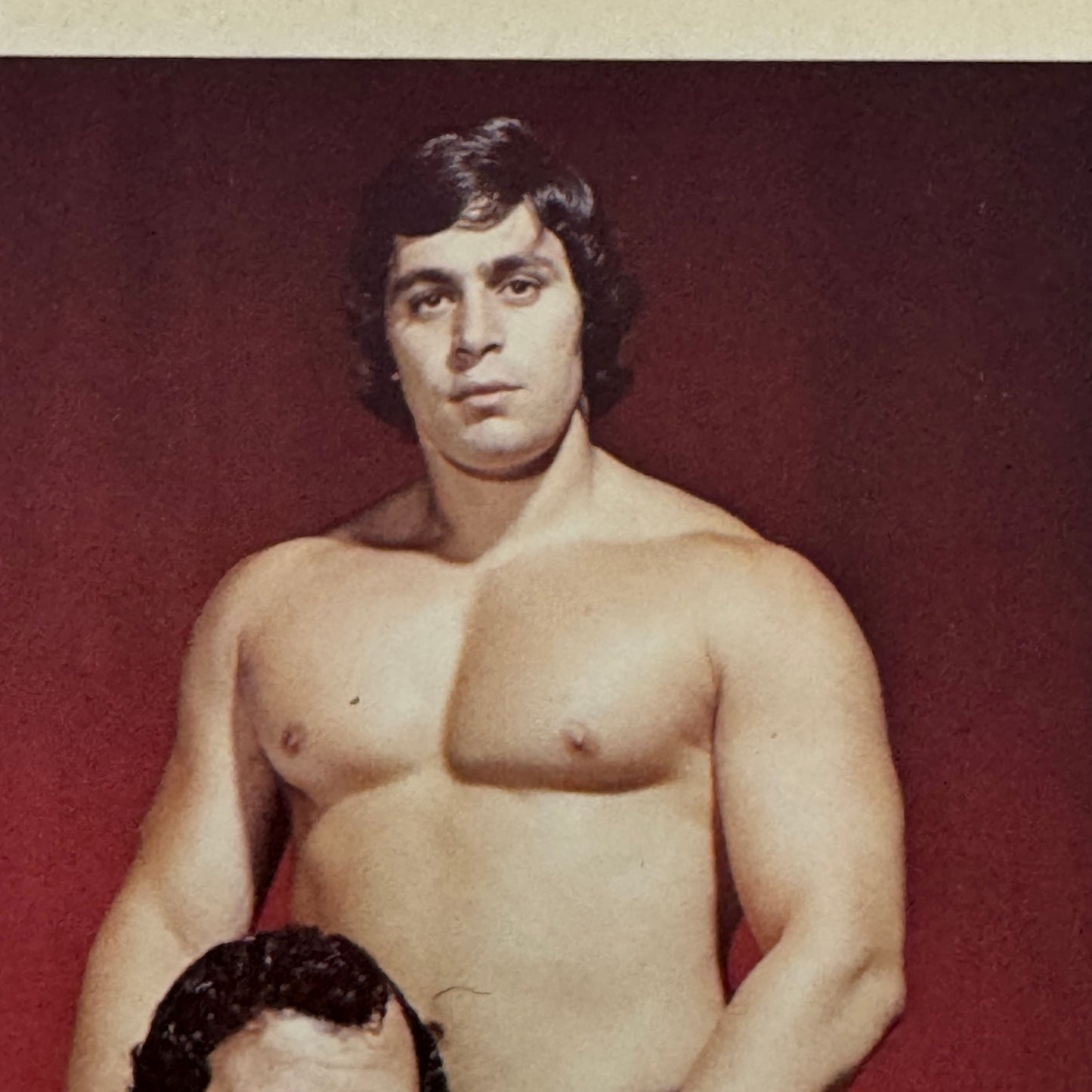 Vintage Wrestling Print Insert Dino Bravo Gino Brito Quebec French 1973